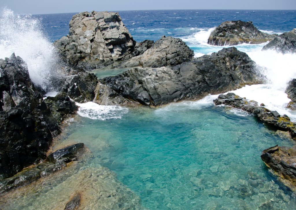 Natural pool